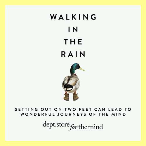 Book cover of Walking in the Rain: Discover mindfulness on the go