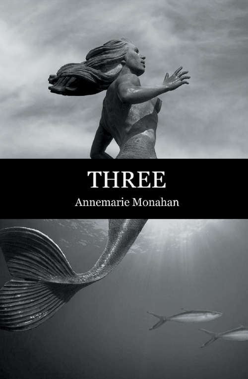 Book cover of Three (Flashpoint Press)
