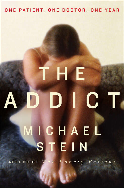 Book cover of The Addict: One Patient, One Doctor, One Year