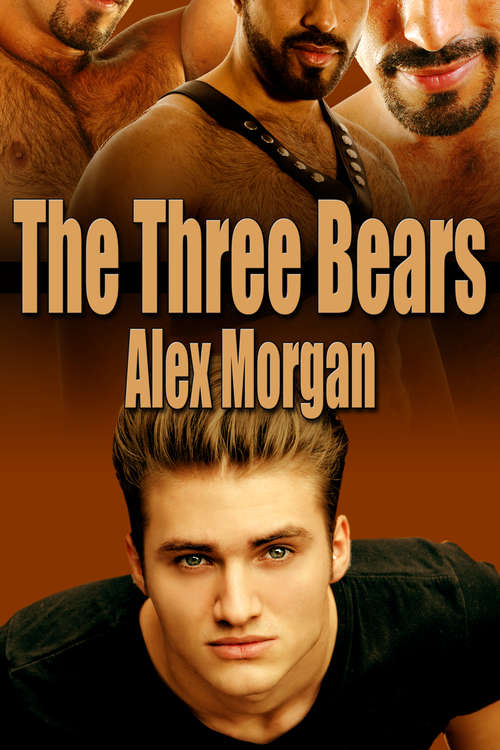 Book cover of The Three Bears