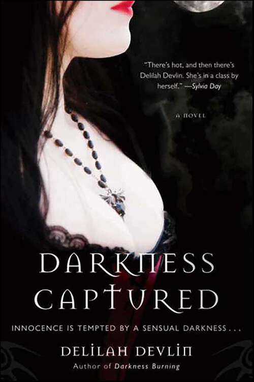 Book cover of Darkness Captured: A Novel (Dark Realm Series #4)