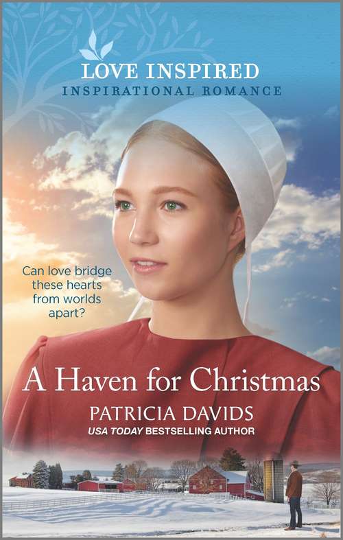 Book cover of A Haven for Christmas (Original) (North Country Amish #3)