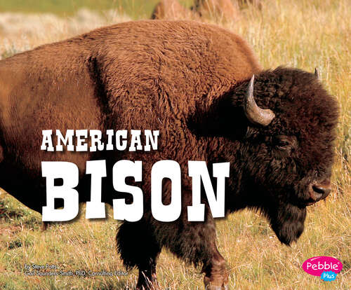 Book cover of American Bison (North American Animals Ser.)