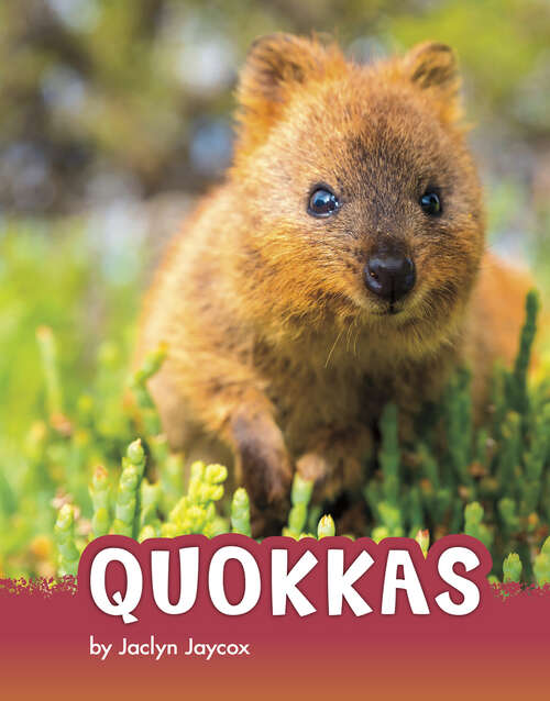 Book cover of Quokkas (Animals)