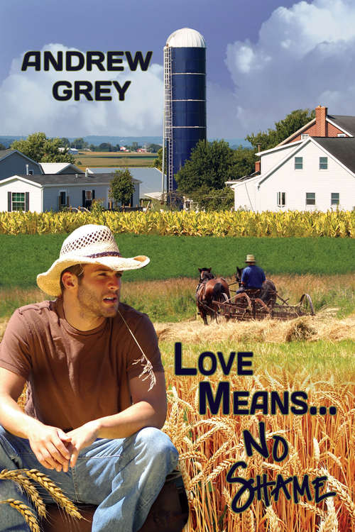 Book cover of Love Means... No Shame (Love Means... Ser. #1)