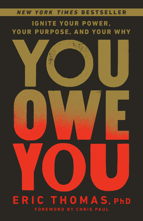 Book cover of You Owe You: Ignite Your Power, Your Purpose, and Your Why