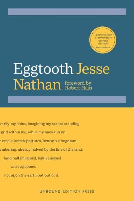 Book cover of Eggtooth