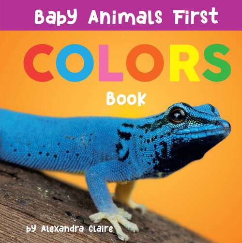 Book cover of Baby Animals First Colors Book (Baby Animals First Series #3)