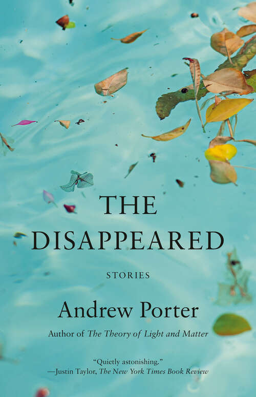 Book cover of The Disappeared: Stories