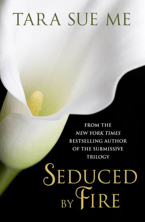 Book cover of Seduced By Fire: A Partners In Play Novel