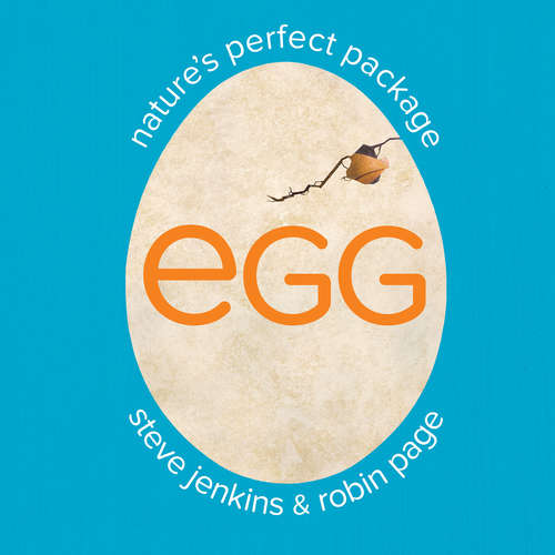 Book cover of Egg: Nature's Perfect Package