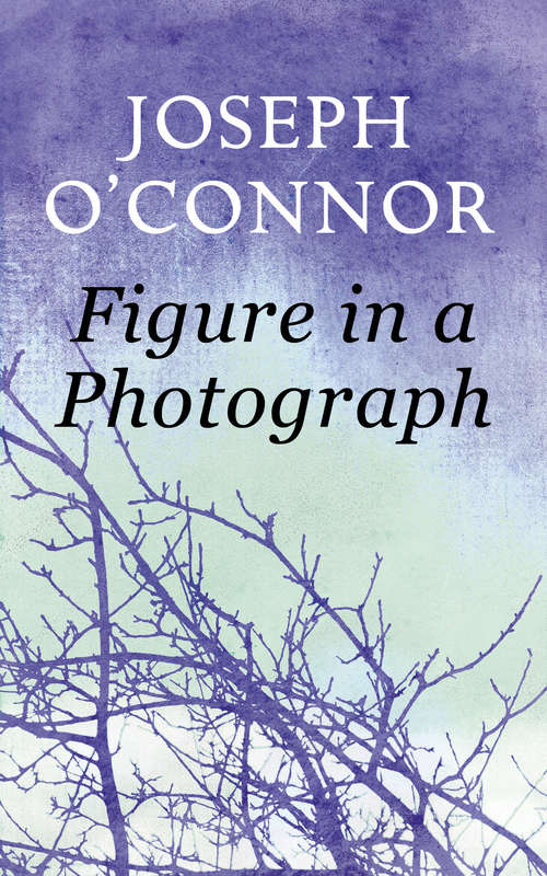 Book cover of Figure in a Photograph: A Short Story from 'Where Have You Been?'