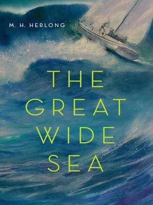 Book cover of The Great Wide Sea