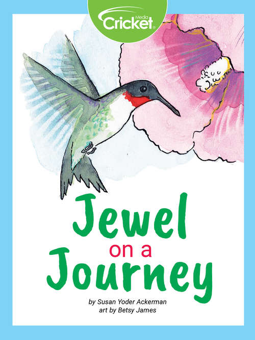 Book cover of Jewel on a Journey