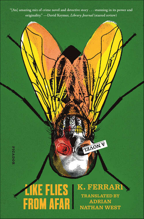 Book cover of Like Flies from Afar: A Novel