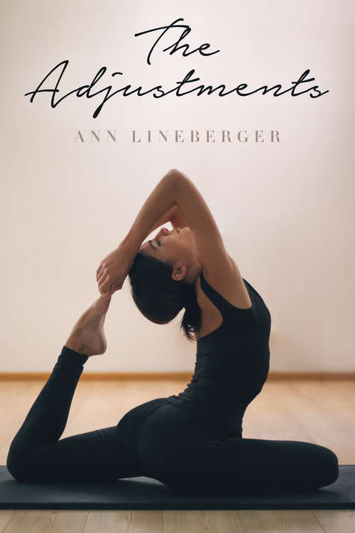 Book cover of The Adjustments