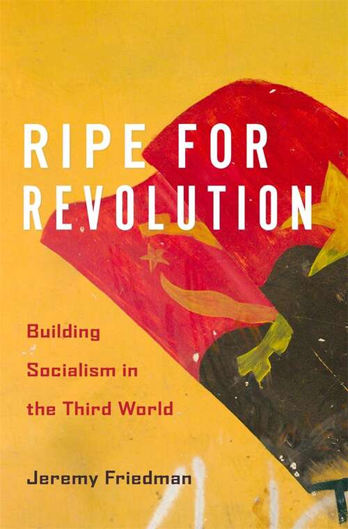 Book cover of Socialism: Building Socialism In The Third World