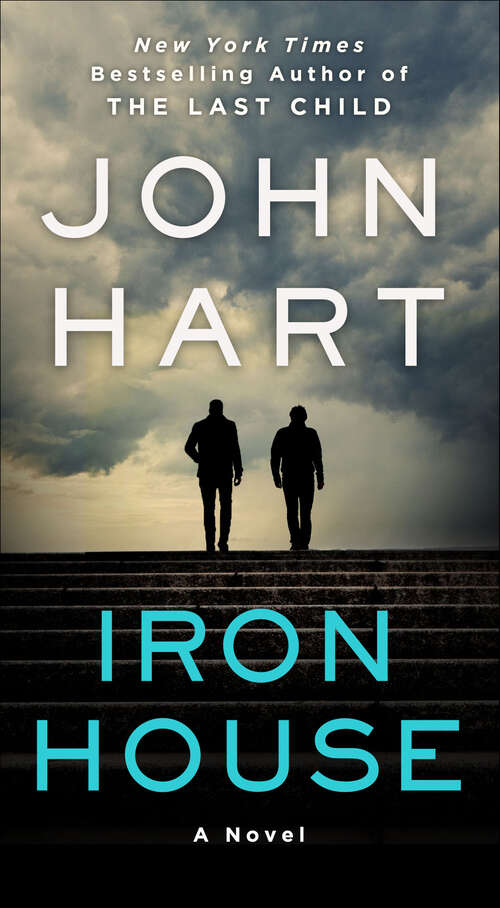 Book cover of Iron House: A Novel