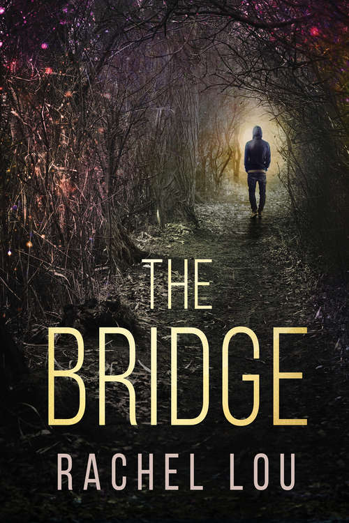 Book cover of The Bridge