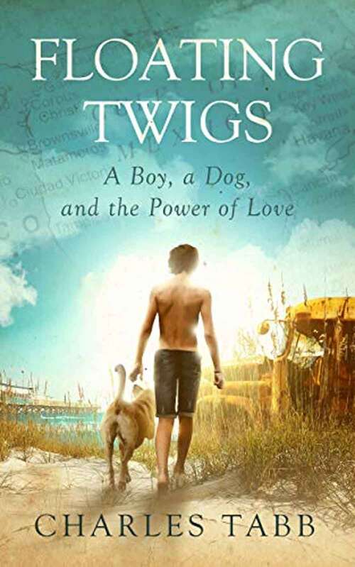 Book cover of Floating Twigs