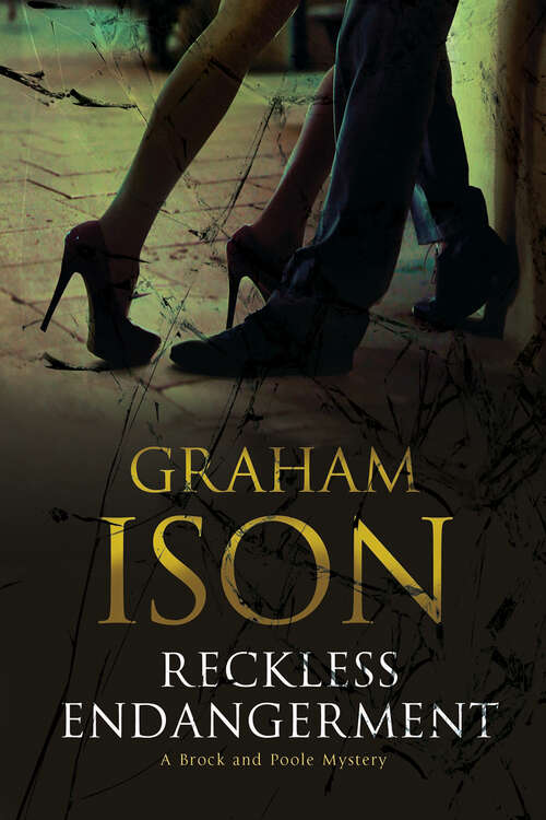 Book cover of Reckless Endangerment (The Brock and Poole Mysteries #13)