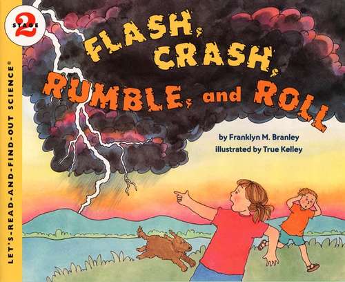 Book cover of Flash, Crash, Rumble, and Roll