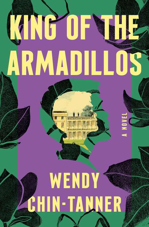 Book cover of King of the Armadillos: A Novel