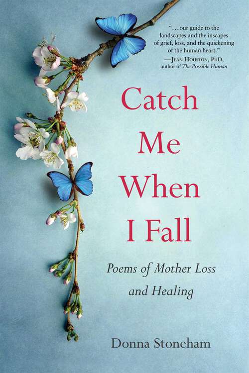 Book cover of Catch Me When I Fall: Poems of Mother Loss and Healing