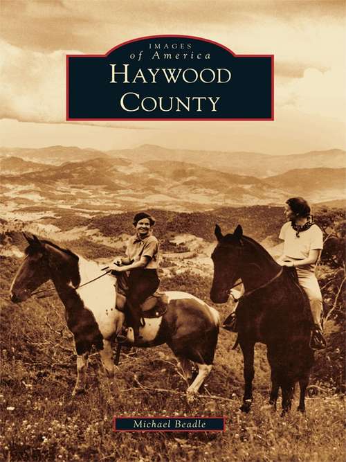 Book cover of Haywood County