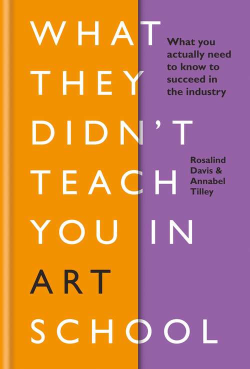 Book cover of What They Didn't Teach You in Art School: What you need to know to survive as an artist (What They Didn't Teach You In School #3)