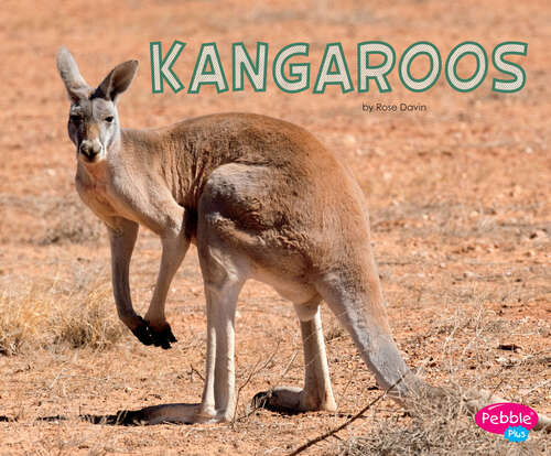 Book cover of Kangaroos (Meet Desert Animals Ser.)