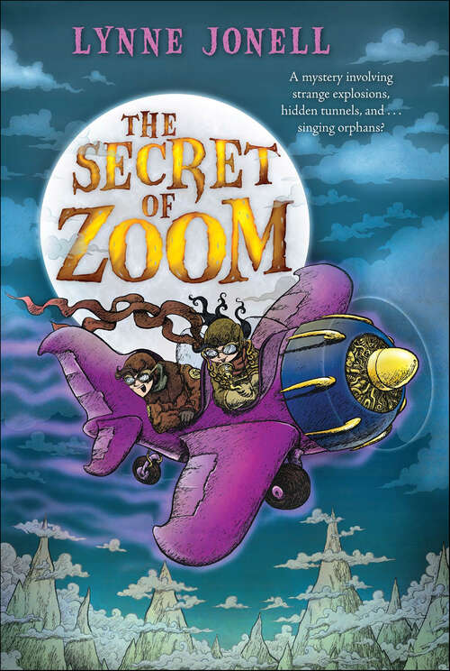 Book cover of The Secret of Zoom