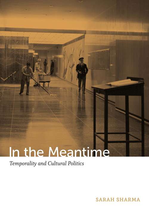 Book cover of In the Meantime: Temporality and Cultural Politics