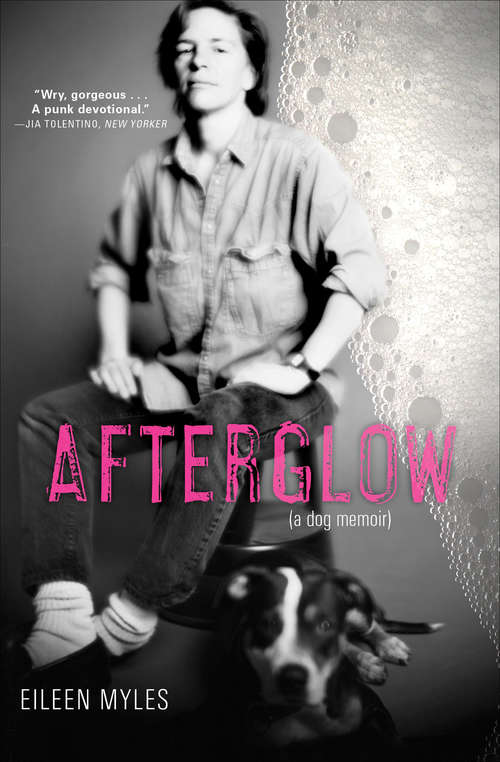 Book cover of Afterglow: (a dog memoir) (Books That Changed the World)