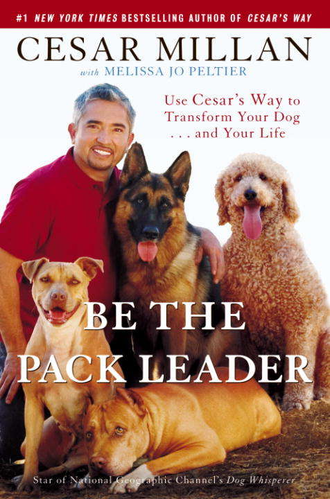 Book cover of Be the Pack Leader: Use Cesar's Way to Transform Your Dog . . . and Your Life