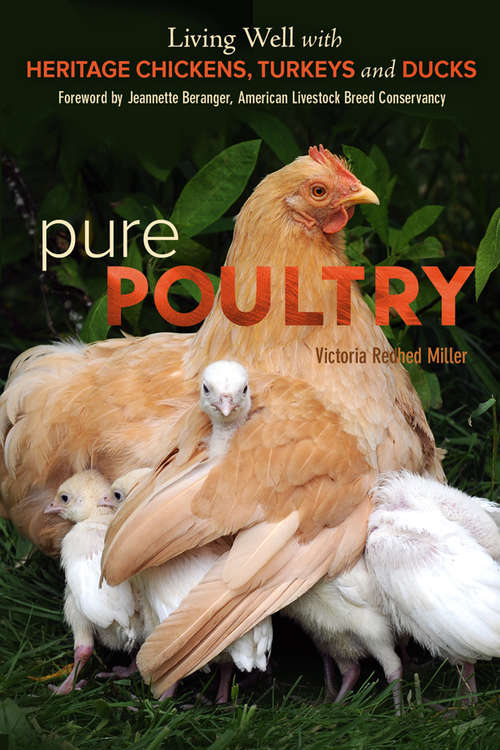 Book cover of Pure Poultry