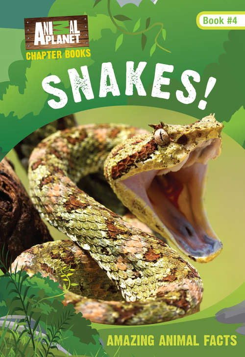 Book cover of Snakes! (Animal Planet Chapter Books #3)