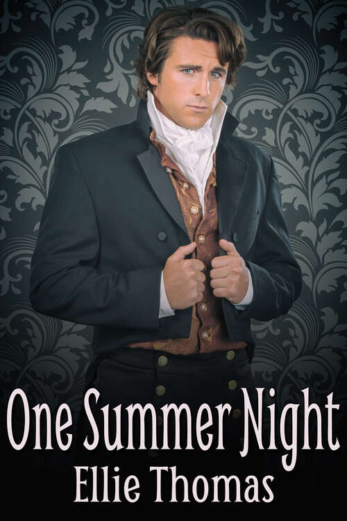 Book cover of One Summer Night