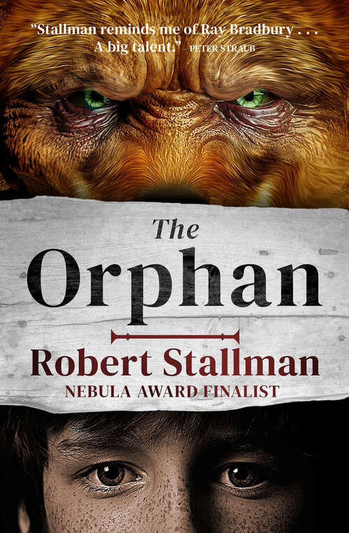 Book cover of The Orphan: The Orphan, The Captive, And The Beast (Digital Original) (The Book of the Beast)