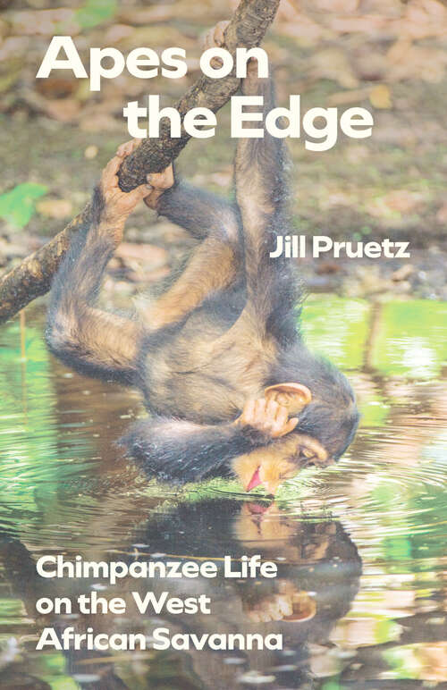 Book cover of Apes on the Edge: Chimpanzee Life on the West African Savanna (Animal Lives)