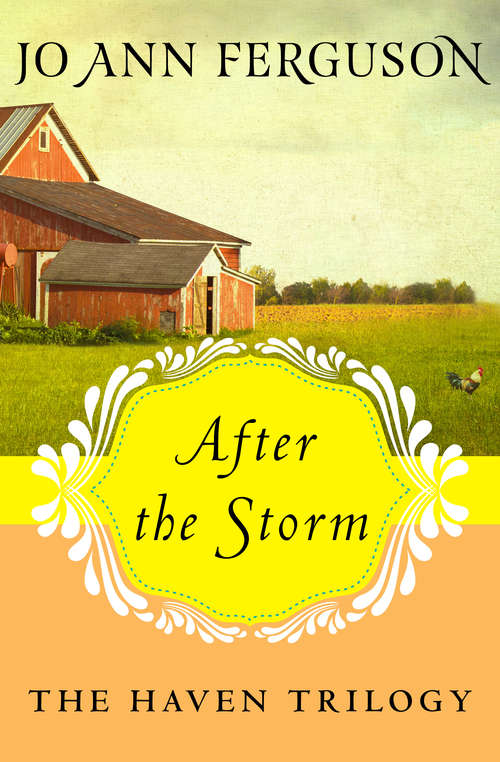 Book cover of After the Storm (The Haven Trilogy #3)