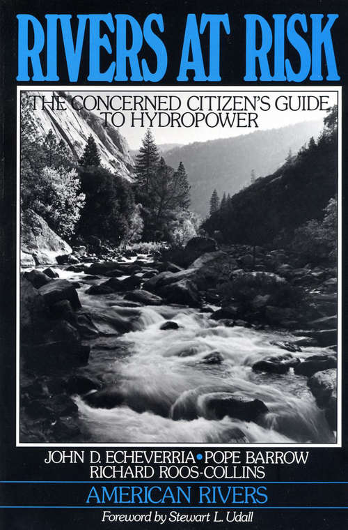 Book cover of Rivers at Risk: Concerned Citizen's Guide To Hydropower (2)