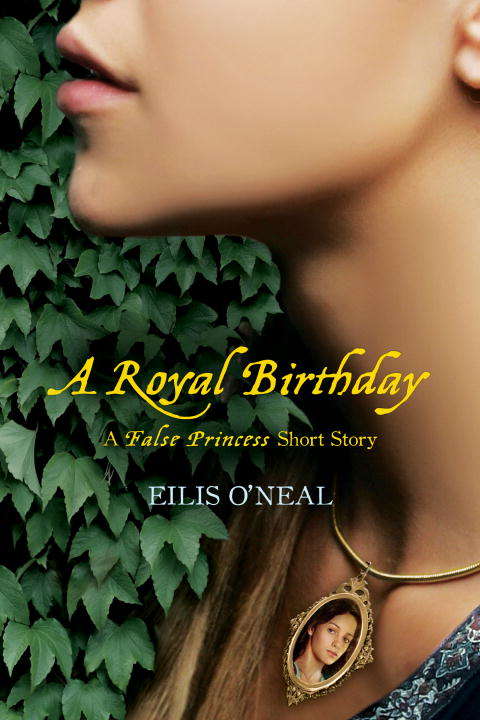 Book cover of A Royal Birthday