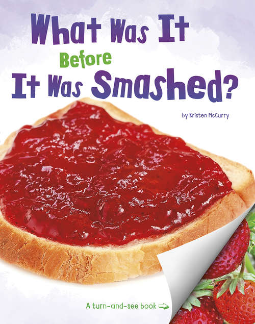 Book cover of What Was It Before It Was Smashed? (What Was It?)