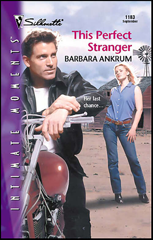 Book cover of This Perfect Stranger