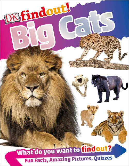 Book cover of DKfindout! Big Cats (DK findout!)