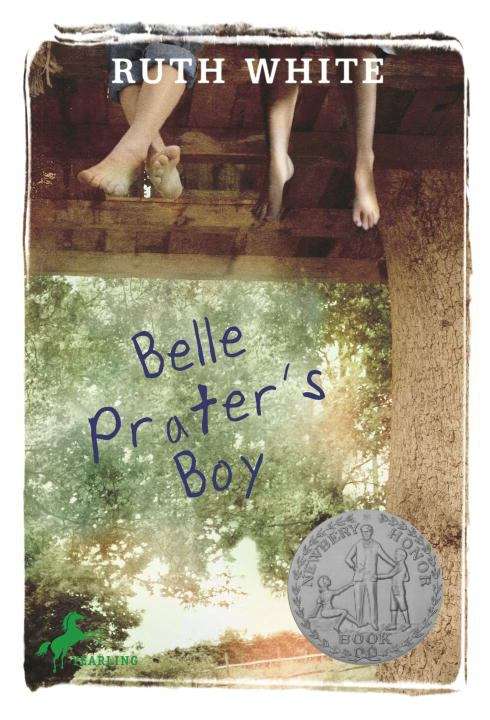 Book cover of Belle Prater's Boy