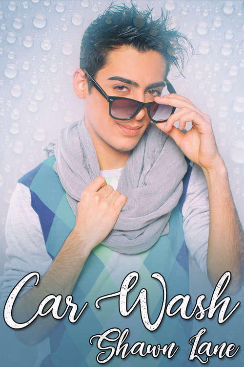 Book cover of Car Wash