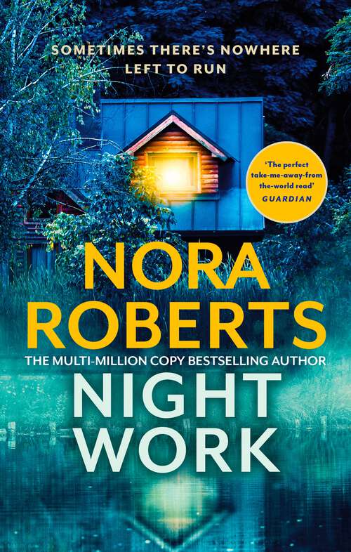 Book cover of Nightwork