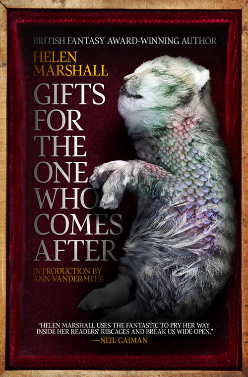 Book cover of Gifts for the One Who Comes After